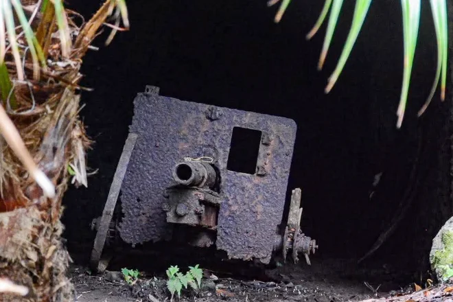 Explore Wartime Ruins on a World Natural Heritage Island (History-Focused + Nature) / Shared Tour